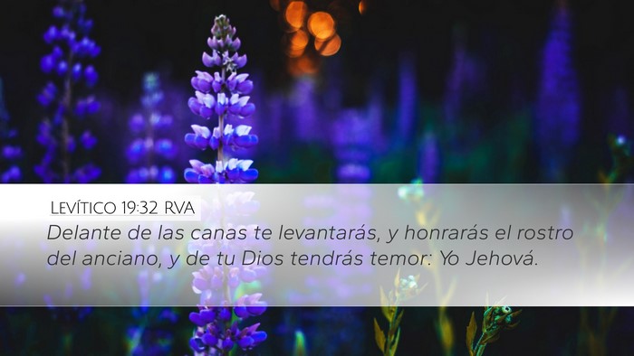 Levítico 19:32 RVA Bible Verse Image