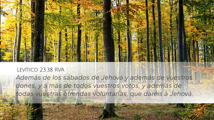 Levítico 23:38 RVA Bible Verse Image