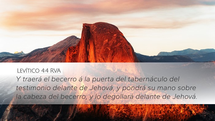 Levítico 4:4 RVA Bible Verse Image