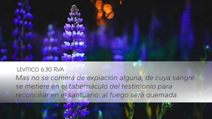 Levítico 6:30 RVA Bible Verse Image