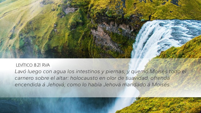 Levítico 8:21 RVA Bible Verse Image