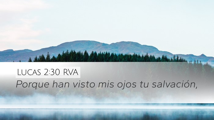 Lucas 2:30 RVA Bible Verse Image