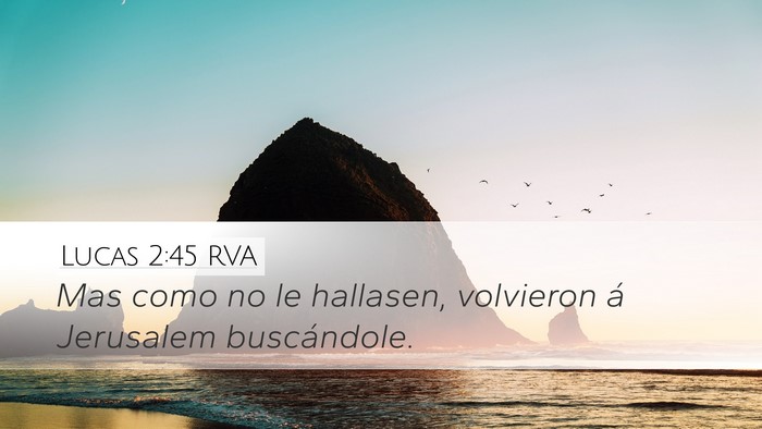 Lucas 2:45 RVA Desktop Wallpaper - Mas como no le hallasen, volvieron á Jerusalem - Desktop Bible Verse Wallpaper