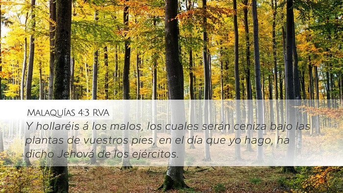 Malaquías 4:3 RVA Bible Verse Image