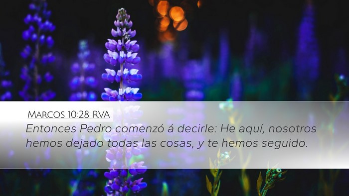 Marcos 10:28 RVA Bible Verse Image