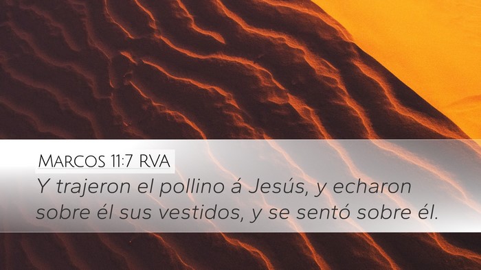 Marcos 11:7 RVA Desktop Wallpaper - Y trajeron el pollino á Jesús, y echaron sobre - Desktop Bible Verse Wallpaper