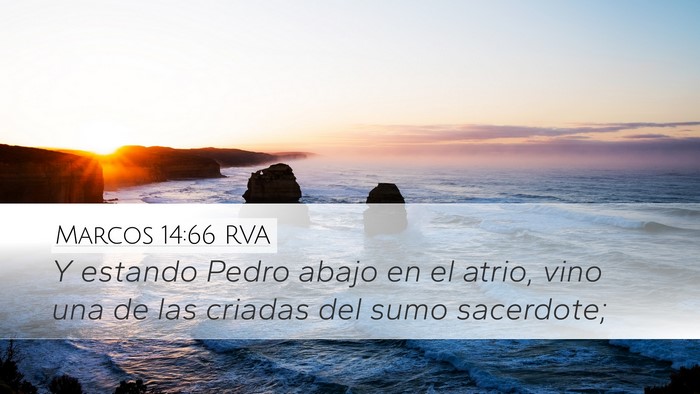 Marcos 14:66 RVA Bible Verse Image