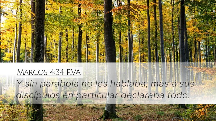 Marcos 4:34 RVA Bible Verse Image