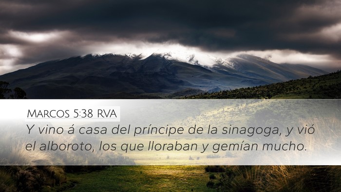 Marcos 5:38 RVA Bible Verse Image