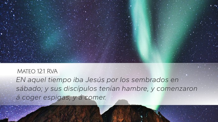 Mateo 12:1 RVA Bible Verse Image
