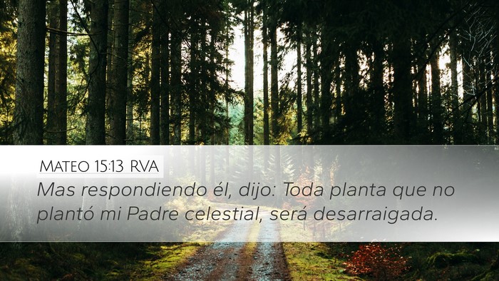 Mateo 15:13 RVA Bible Verse Image