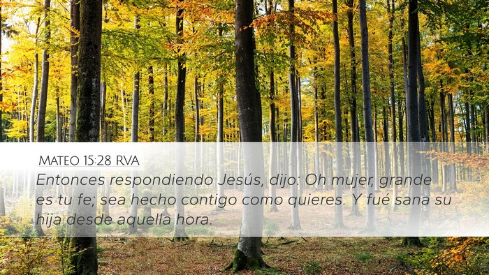 Mateo 15:28 RVA Bible Verse Image