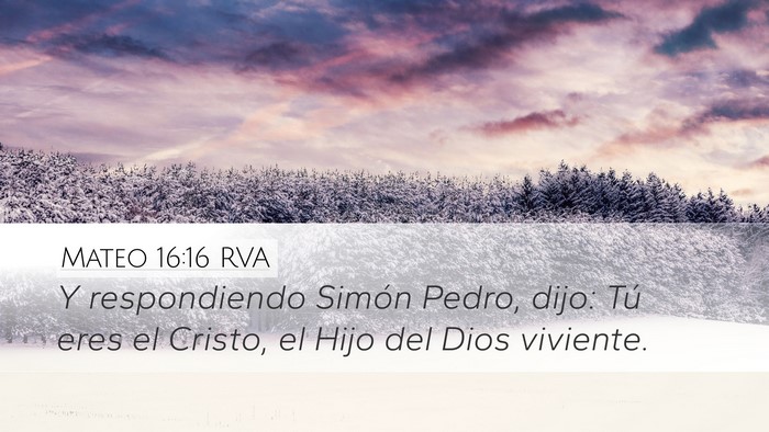 Mateo 16:16 RVA Bible Verse Image