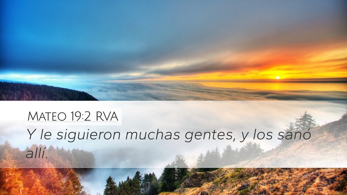 Mateo 19:2 RVA Desktop Wallpaper - Y le siguieron muchas gentes, y los sanó - Desktop Bible Verse Wallpaper