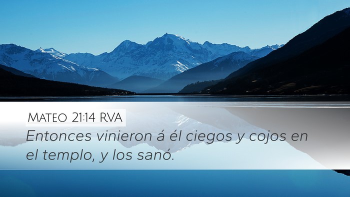 Mateo 21:14 RVA Bible Verse Image