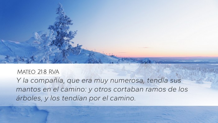 Mateo 21:8 RVA Desktop Wallpaper - Y la compañía, que era muy numerosa, tendía - Desktop Bible Verse Wallpaper
