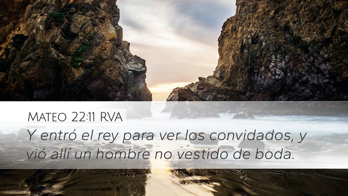 Mateo 22:11 RVA Bible Verse Image