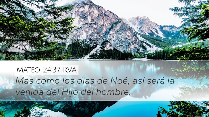 Mateo 24:37 RVA Bible Verse Image