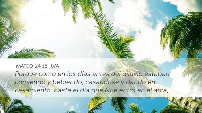 Mateo 24:38 RVA Bible Verse Image