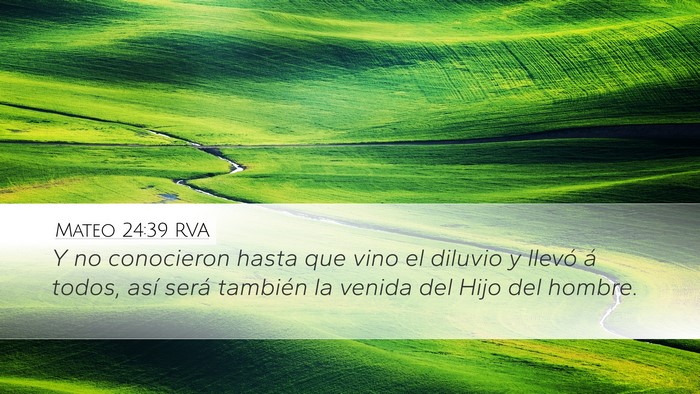 Mateo 24:39 RVA Bible Verse Image