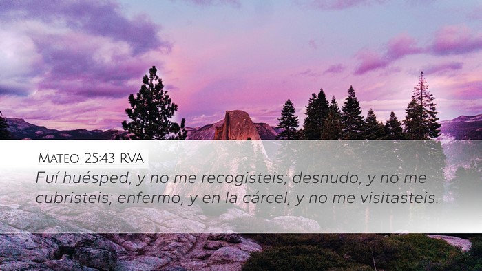 Mateo 25:43 RVA Bible Verse Image