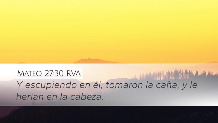Mateo 27:30 RVA Bible Verse Image