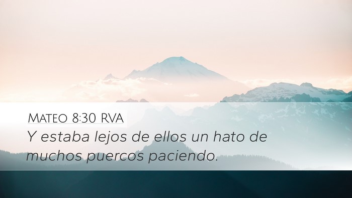 Mateo 8:30 RVA Bible Verse Image