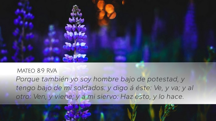 Mateo 8:9 RVA Desktop Wallpaper - Porque también yo soy hombre bajo de potestad, y - Desktop Bible Verse Wallpaper