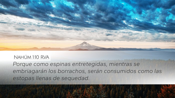 Nahúm 1:10 RVA Bible Verse Image