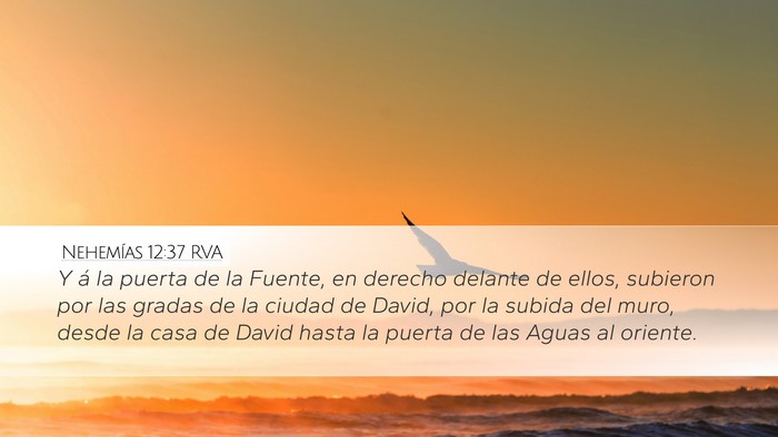 Nehemías 12:37 RVA Bible Verse Image