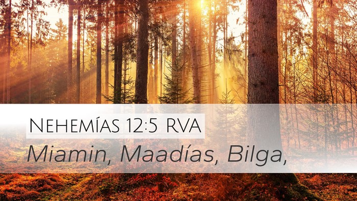 Nehemías 12:5 RVA Bible Verse Image