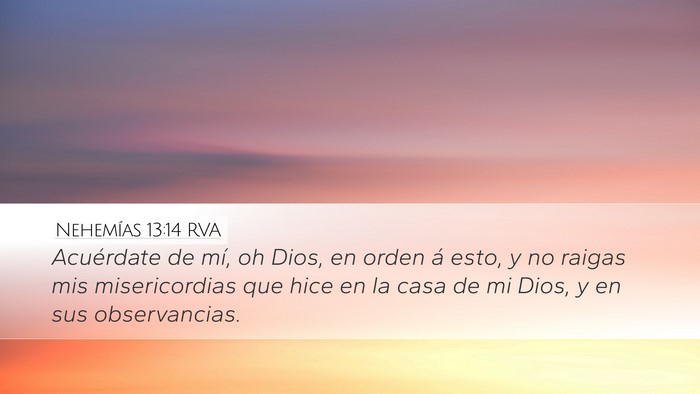 Nehemías 13:14 RVA Bible Verse Image