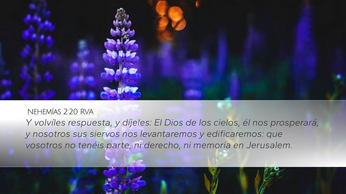 Nehemías 2:20 RVA Bible Verse Image