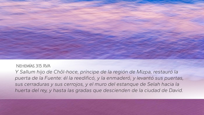 Nehemías 3:15 RVA Bible Verse Image