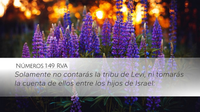 Números 1:49 RVA Bible Verse Image