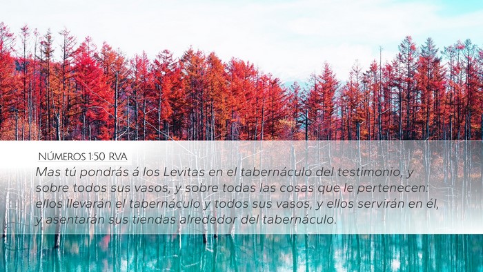 Números 1:50 RVA Desktop Wallpaper - Mas tú pondrás á los Levitas en el - Desktop Bible Verse Wallpaper