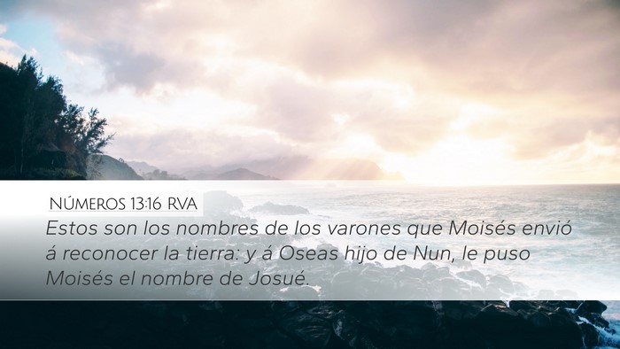 Números 13:16 RVA Bible Verse Image