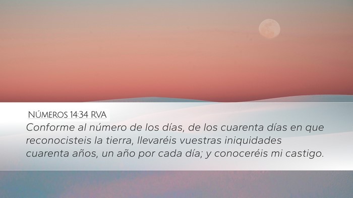 Números 14:34 RVA Bible Verse Image
