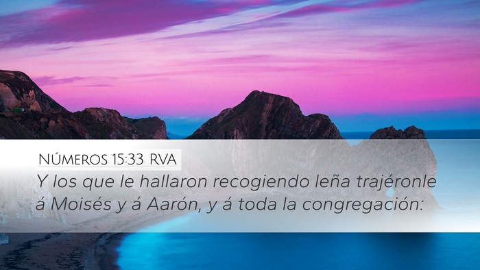 Números 15:33 RVA Bible Verse Image