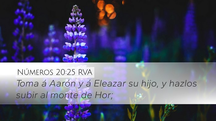 Números 20:25 RVA Desktop Wallpaper - Toma á Aarón y á Eleazar su hijo, y hazlos - Desktop Bible Verse Wallpaper