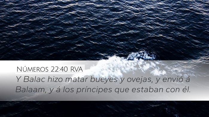 Números 22:40 RVA Desktop Wallpaper - Y Balac hizo matar bueyes y ovejas, y envió á - Desktop Bible Verse Wallpaper