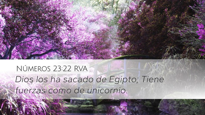 Números 23:22 RVA Bible Verse Image