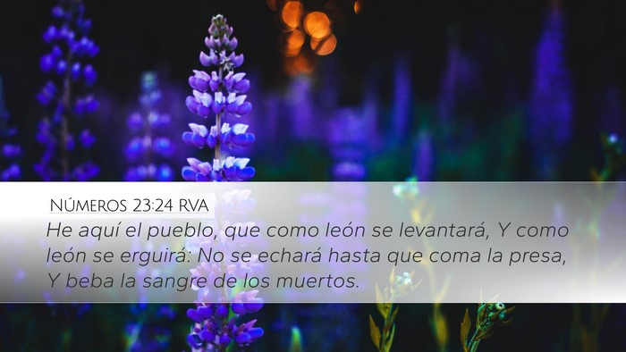 Números 23:24 RVA Bible Verse Image
