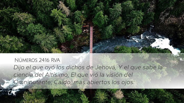 Números 24:16 RVA Bible Verse Image