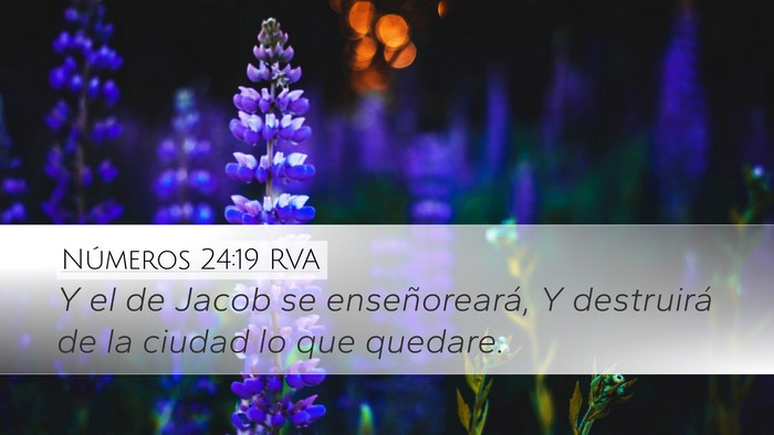 Números 24:19 RVA Bible Verse Image