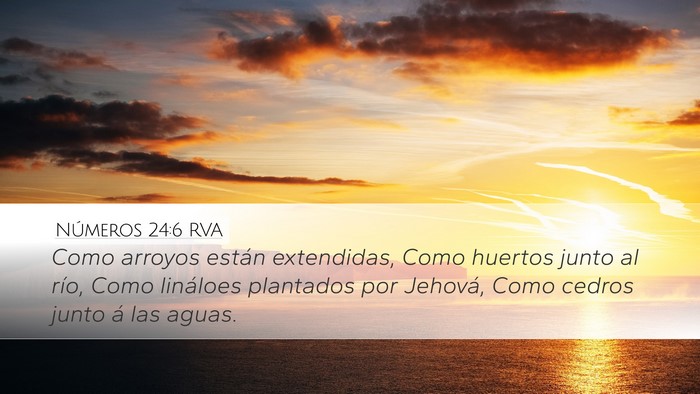 Números 24:6 RVA Desktop Wallpaper - Como arroyos están extendidas, Como huertos - Desktop Bible Verse Wallpaper