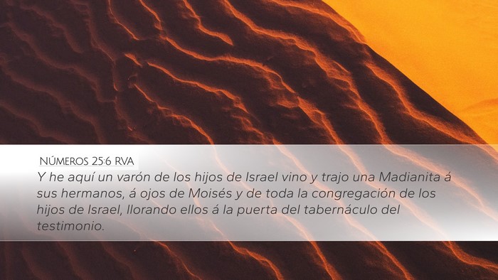 Números 25:6 RVA Bible Verse Image