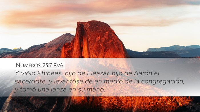 Números 25:7 RVA Bible Verse Image
