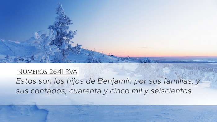 Números 26:41 RVA Bible Verse Image