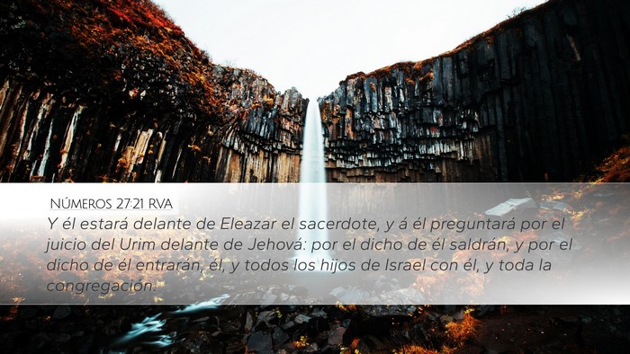 Números 27:21 RVA Bible Verse Image